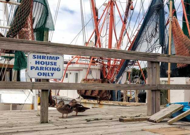 East Coast Ports Set for 6-Year Labor Peace After ILA-USMX Strike Deal