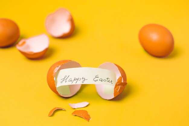 Egg Prices Should Finally Crack – Why Costs Fell and What to Expect