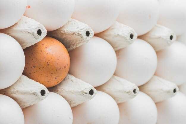 Egg Prices Surge as Bird Flu Shrinks US Hen Flock