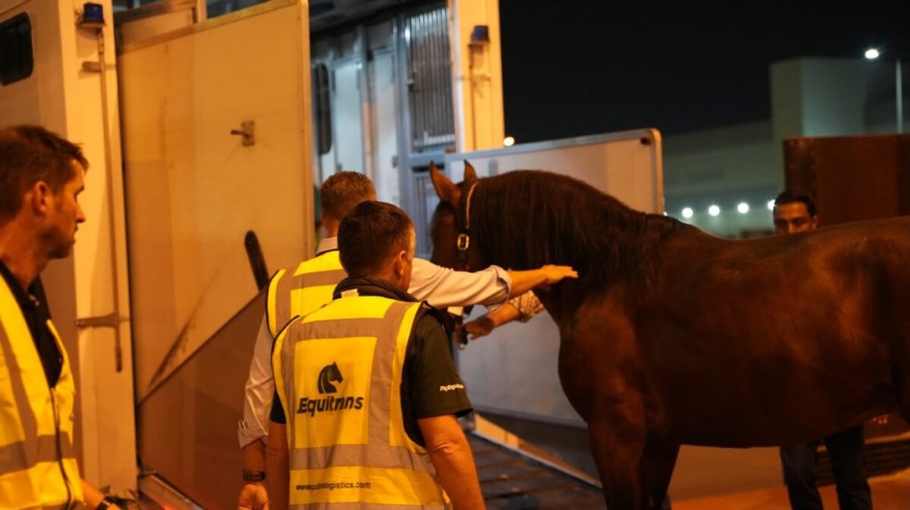 Behind the Scenes of Equitrans’ Precision Horse Logistics for Abu Dhabi’s Equestrian Arts Launch