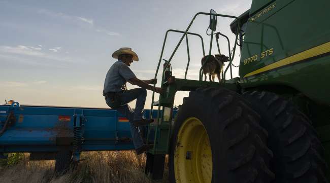 USDA Prepares to Announce Comprehensive Farm Aid Initiative in Early December