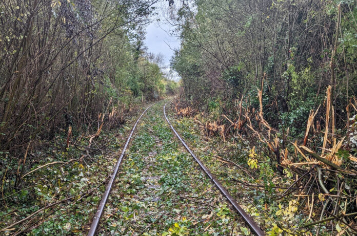 Key Developments in Reactivating the Limerick to Foynes Rail Freight Corridor