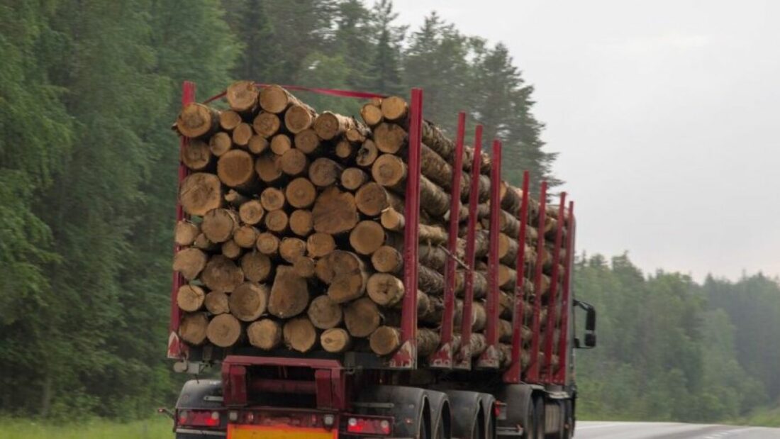 Challenges Facing Transport Companies Amid Vehicle Weight Increases and Pricing Pressures from ENCE Energía y Celulosa