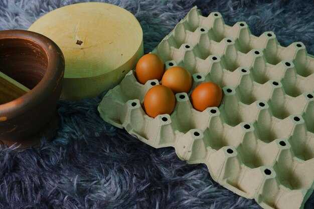 New Report Finds 5 Major Egg Companies May Be Using Avian Flu to Hike US Egg Prices