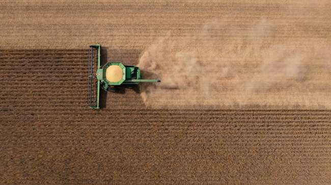 How China’s Renewed US Soybean Imports Are Shaping Trade and Transport Dynamics