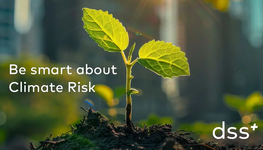 How DSS+’s 10-Step Framework Guides Businesses in Navigating Climate Risk for Resilience and Growth