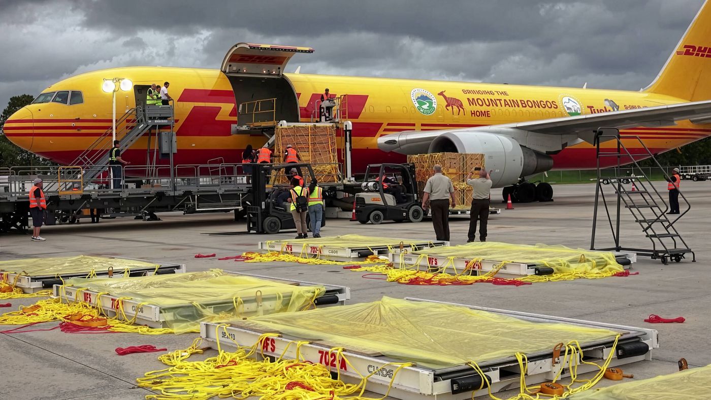 Exploring DHL Group’s Five Most Unusual 2025 Shipments and Their Impact on Logistics