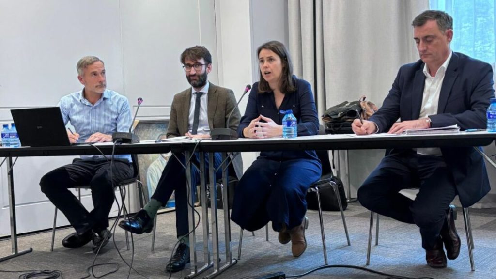 Fenadismer Advocates for Including Diesel Trucks in Spain’s Fleet Renewal Program