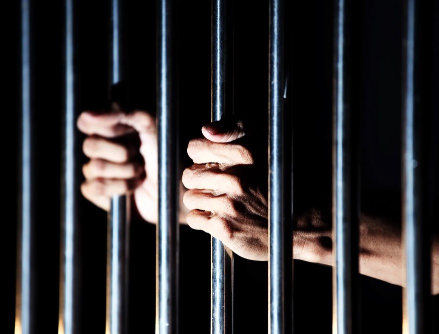 Alice Martin of Ohio Trucking Firm Sentenced to 30 Months for Long-Term Income Tax Evasion Scheme