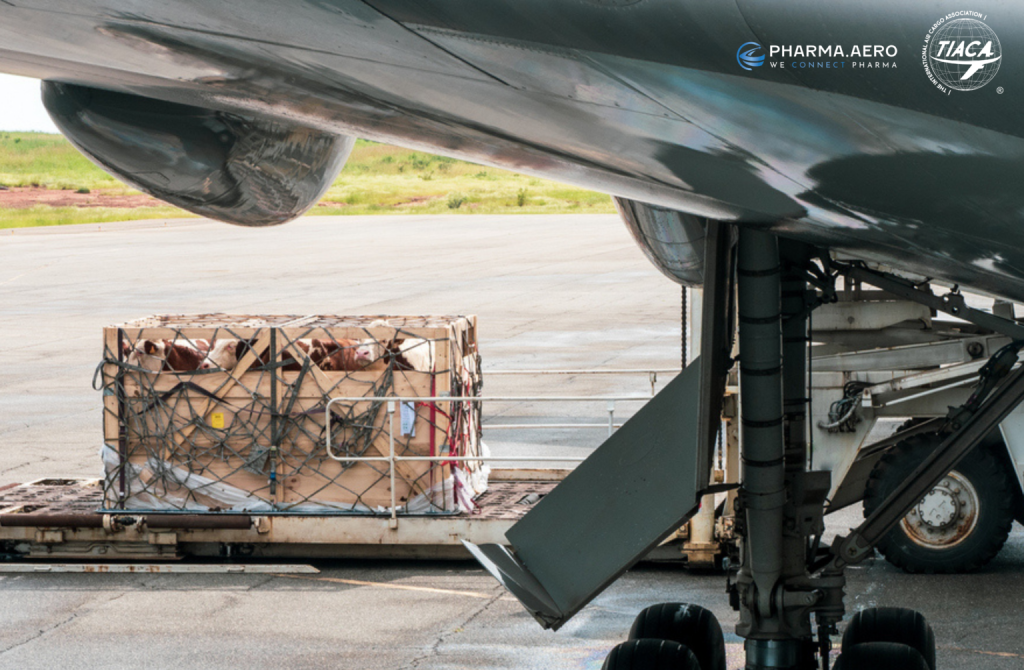 Strengthening Air Cargo Links in Sub-Saharan Africa Could Unlock Billions in Trade and Healthcare Benefits