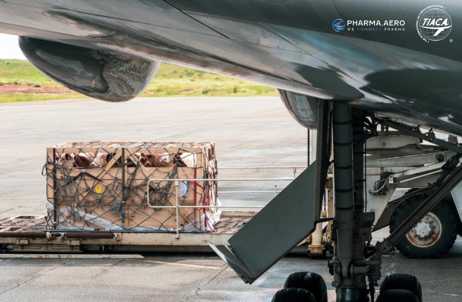 Strengthening Air Cargo Links in Sub-Saharan Africa Could Unlock Billions in Trade and Healthcare Benefits
