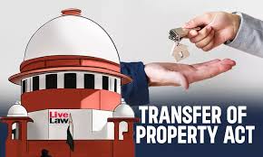 Court Orders Activate Collection Plan Process for TPine Leasing Capital Corporation (TLCC) Claims